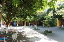 rea Verde